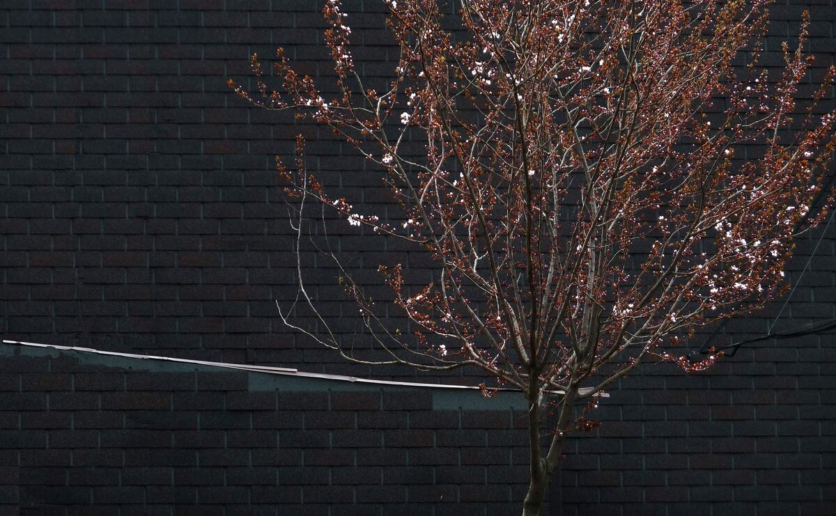 без названия - Николай Семёнов