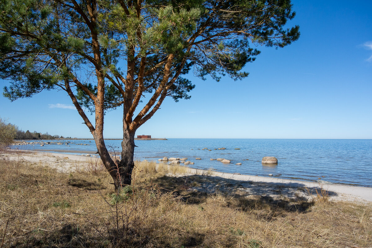 Лукоморье. - Геннадий Порохов
