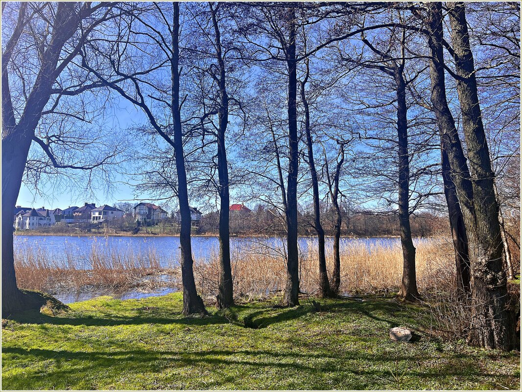 Весенний пейзаж. - Валерия Комова