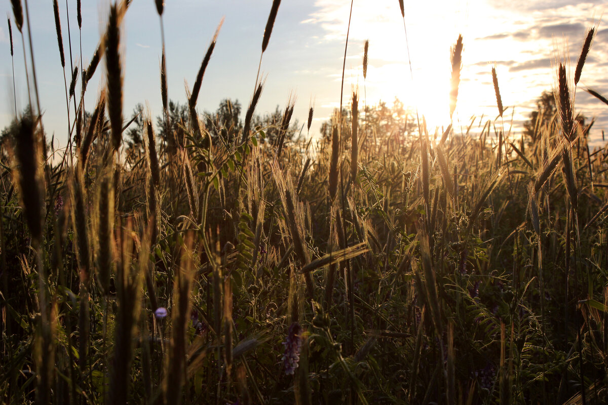 Начало нового дня - Анатолий Герасимов