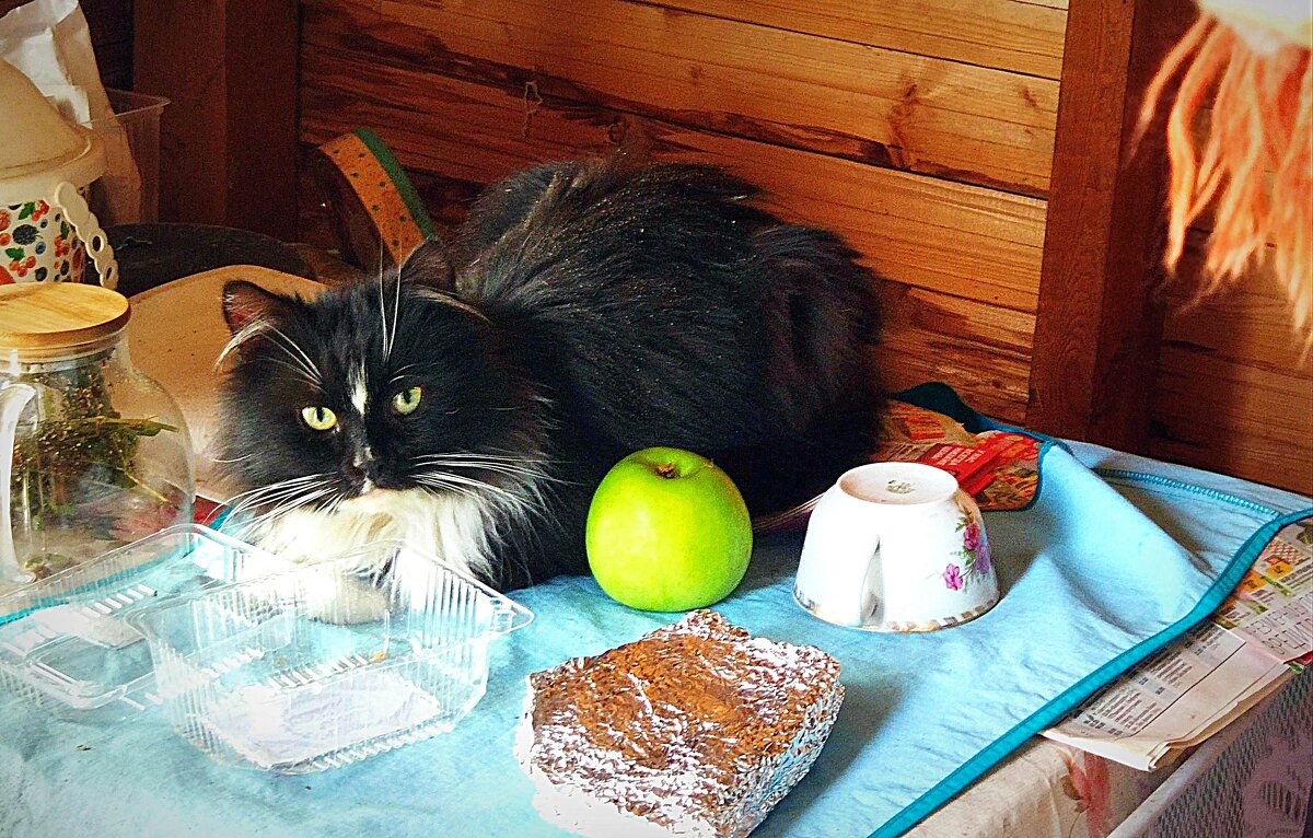 пришла без приглашения... - Любовь 