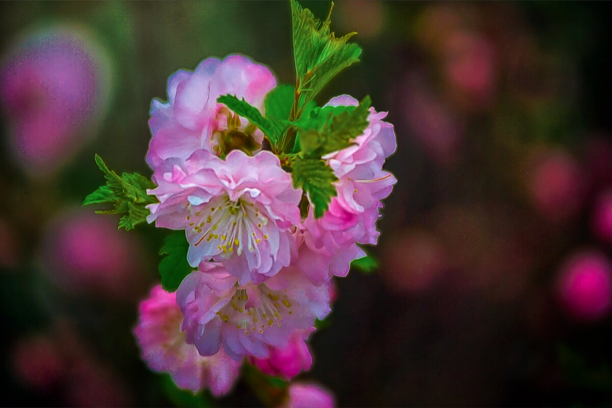 ... - Игорь Хижняк ... - Игорь Хижняк