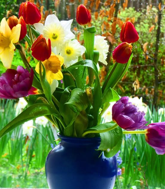 Весенний букет - Елена Куприянова Весенний букет - Елена Куприянова