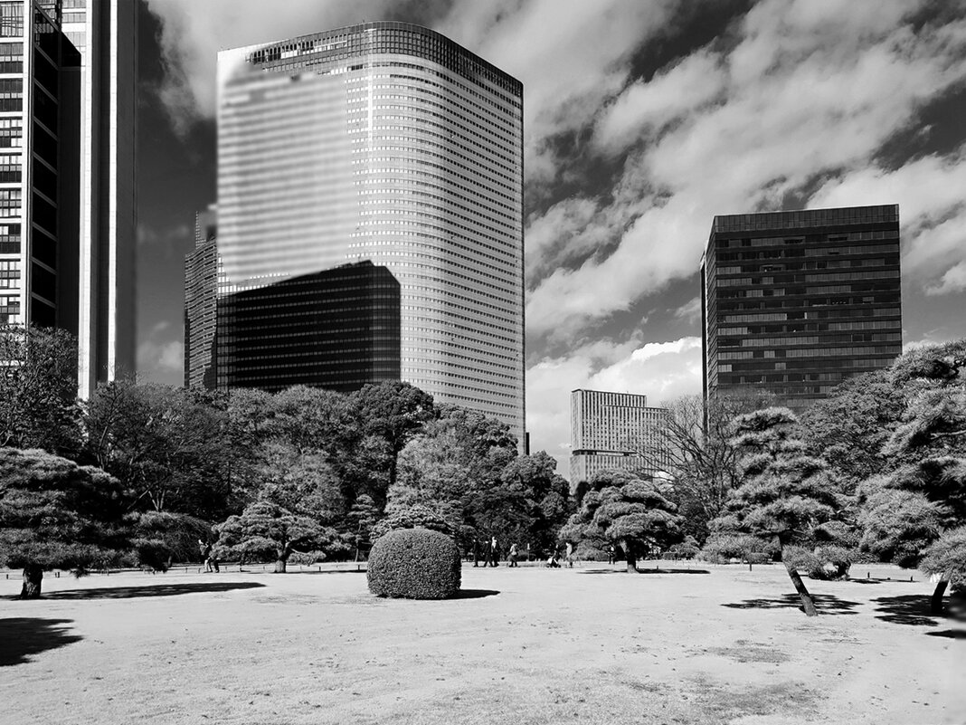 High contrast Высокий контраст - Civetta ***