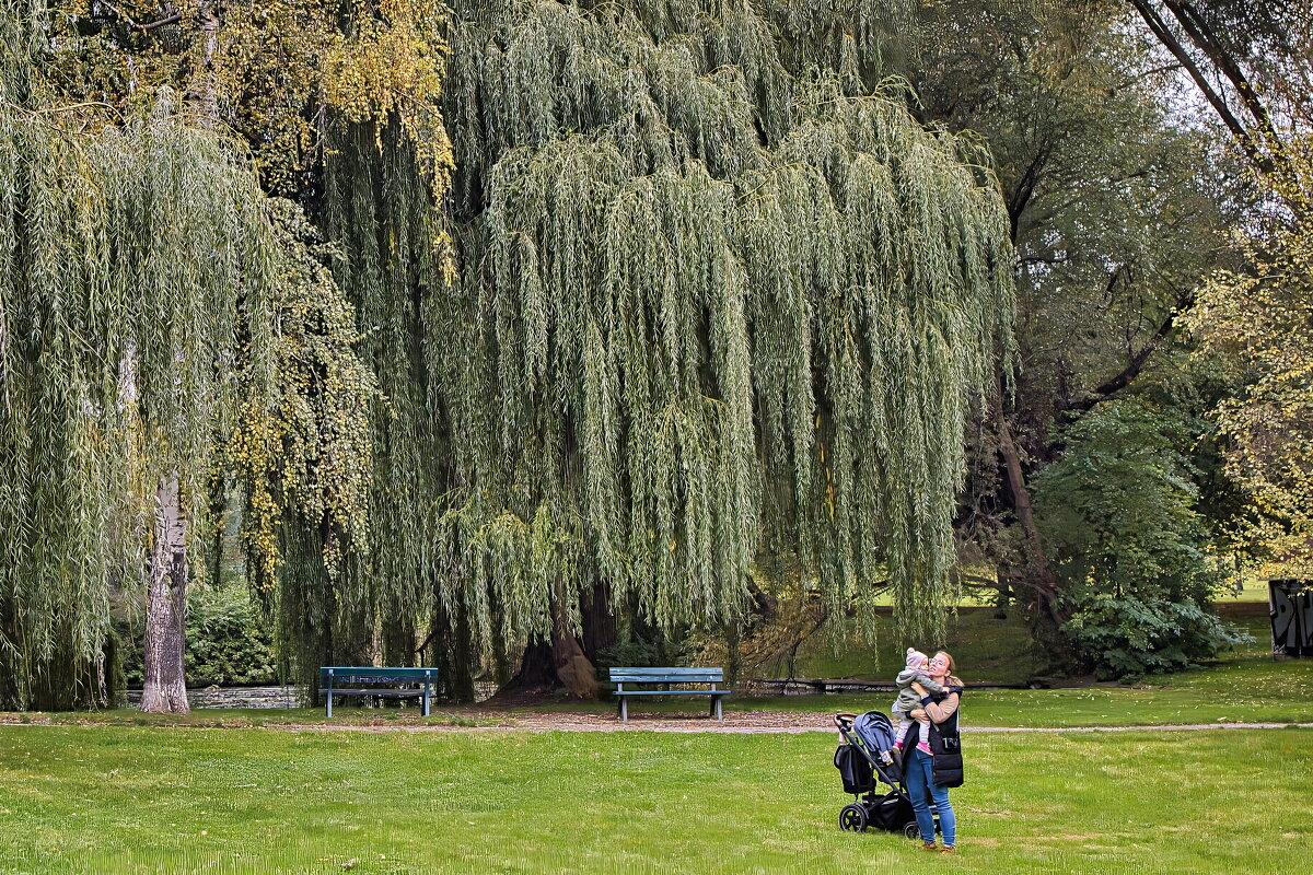 Счастливый день - Sergey Grim Счастливый день - Sergey Grim