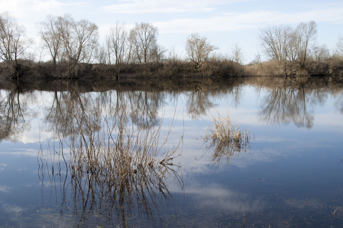 Весенние воды 3 - Елена Пономарева