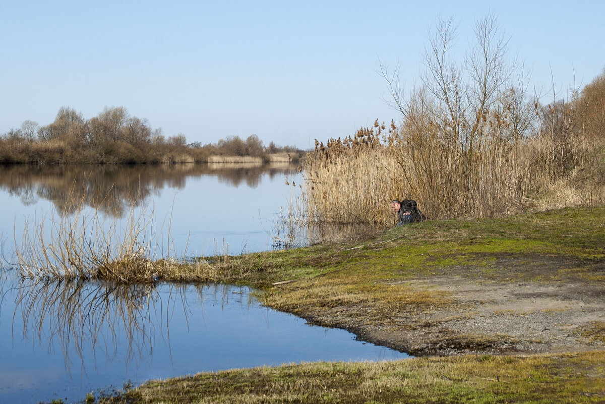 Весенние воды 5 - Елена Пономарева Весенние воды 5 - Елена Пономарева