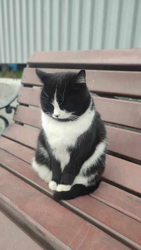 Скромная девочка - Людмила Мила Скромная девочка - Людмила Мила