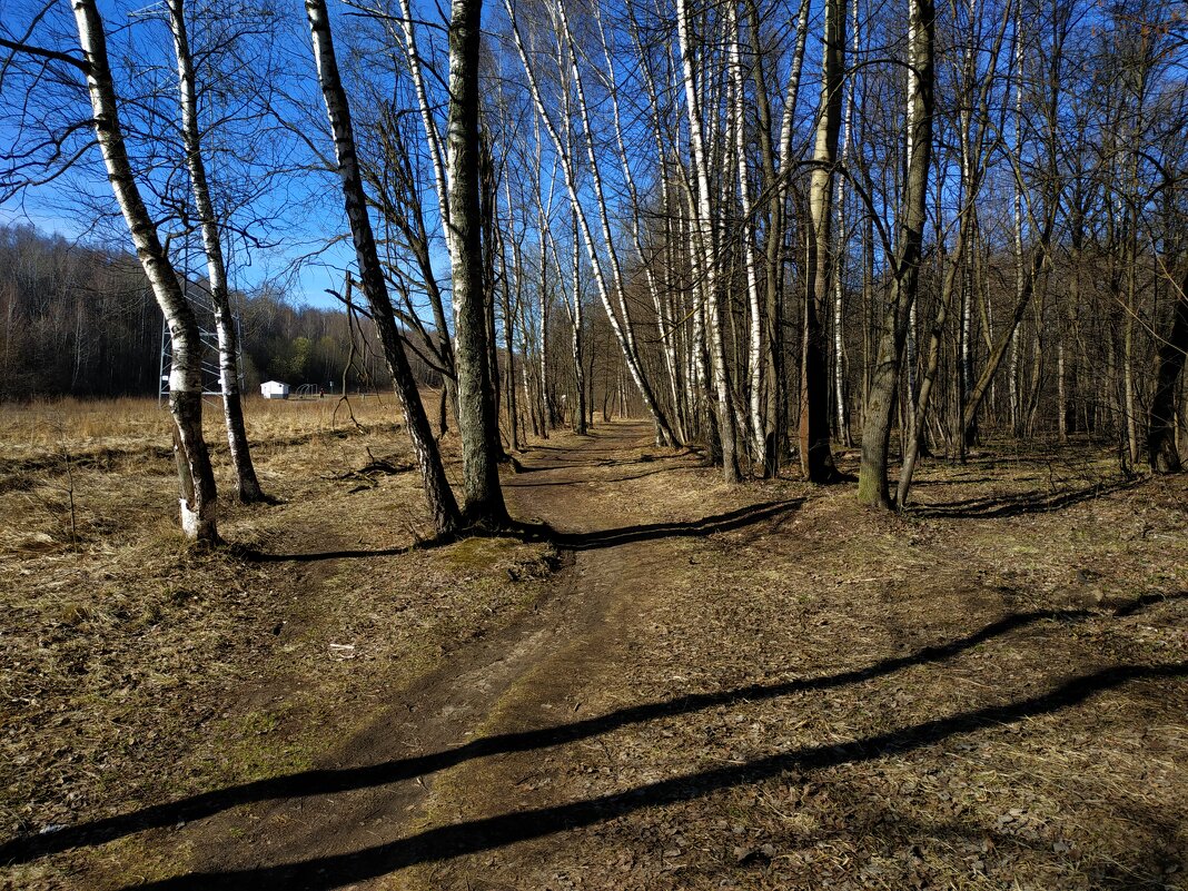 Настоящий апрель - Андрей Лукьянов