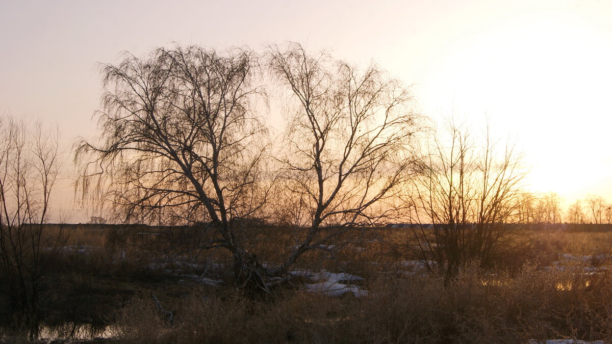 В закатном свете. - сергей ермошкин В закатном свете. - сергей ермошкин