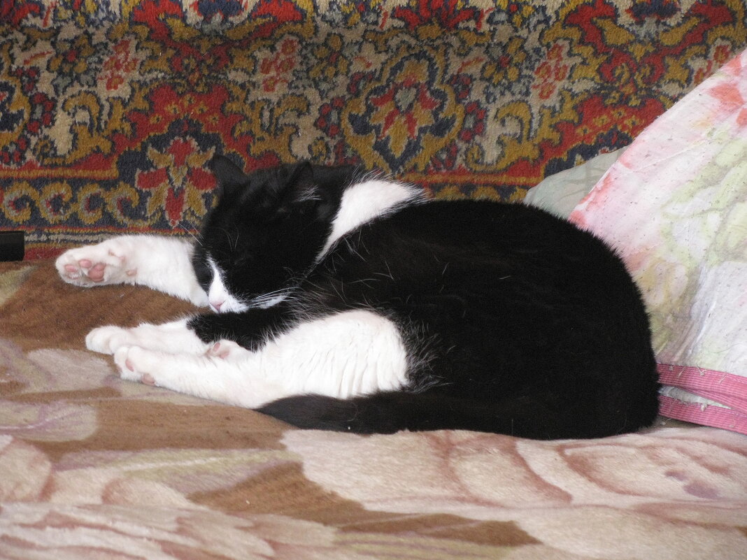 После прогулки - Людмила Смородинская После прогулки - Людмила Смородинская