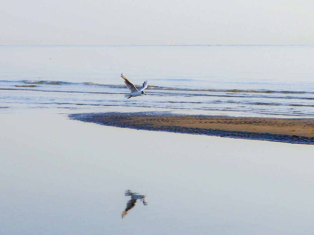 Безмятежность - Сергей Швечков