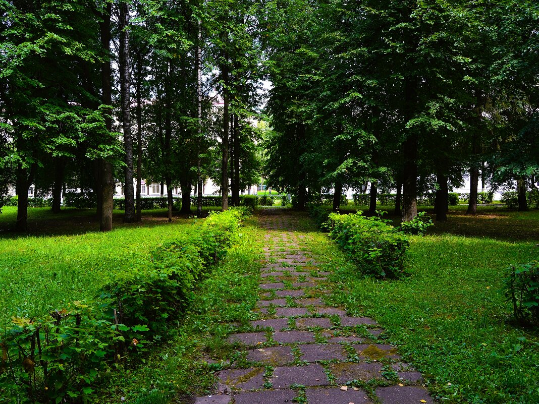 Чебоксары. Старые дорожки Чапаевского сквера летом. - Пётр Чернега Чебоксары. Старые дорожки Чапаевского сквера летом. - Пётр Чернега