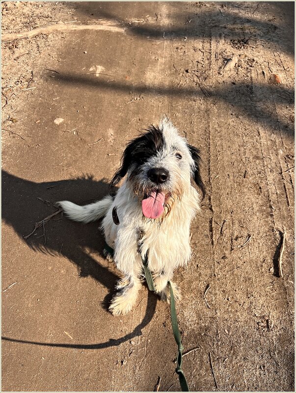 Каспер. - Валерия Комова Каспер. - Валерия Комова