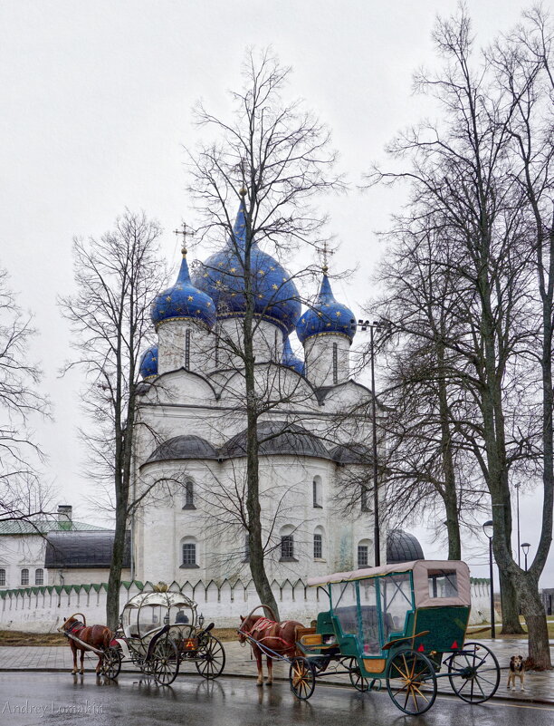 Собор Рождества Богородицы - Andrey Lomakin