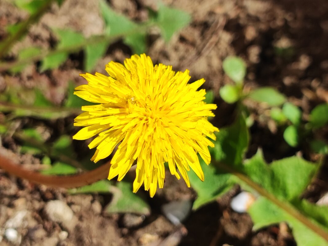 ,,, - Сергей Тимоновский ,,, - Сергей Тимоновский