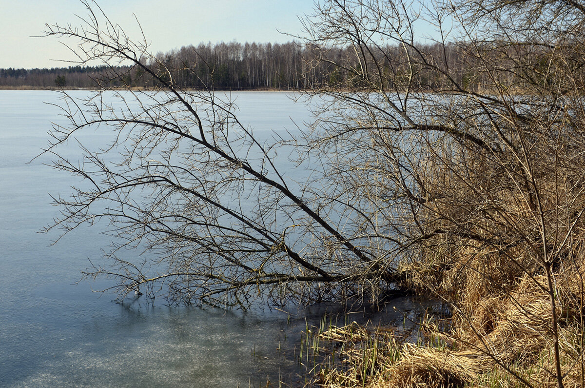 Весна - Aleksandr Gal