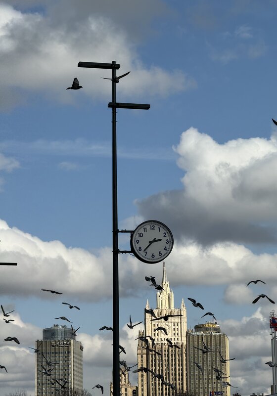 …. многоптичие… - Анна Камс …. многоптичие… - Анна Камс