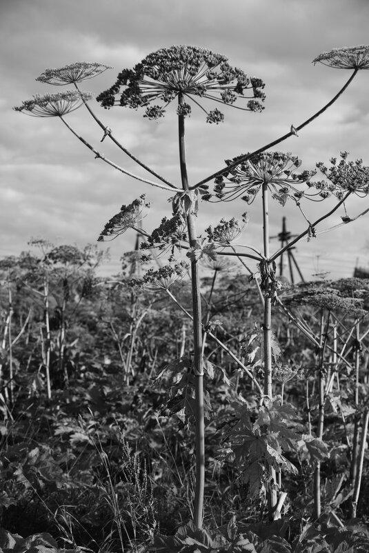Название отсутствует - Денис Безногов Название отсутствует - Денис Безногов