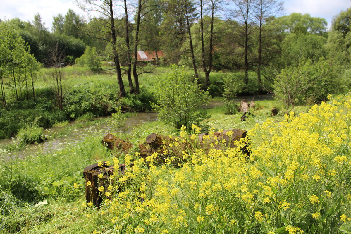 Природа! - жанна нечаева Природа! - жанна нечаева