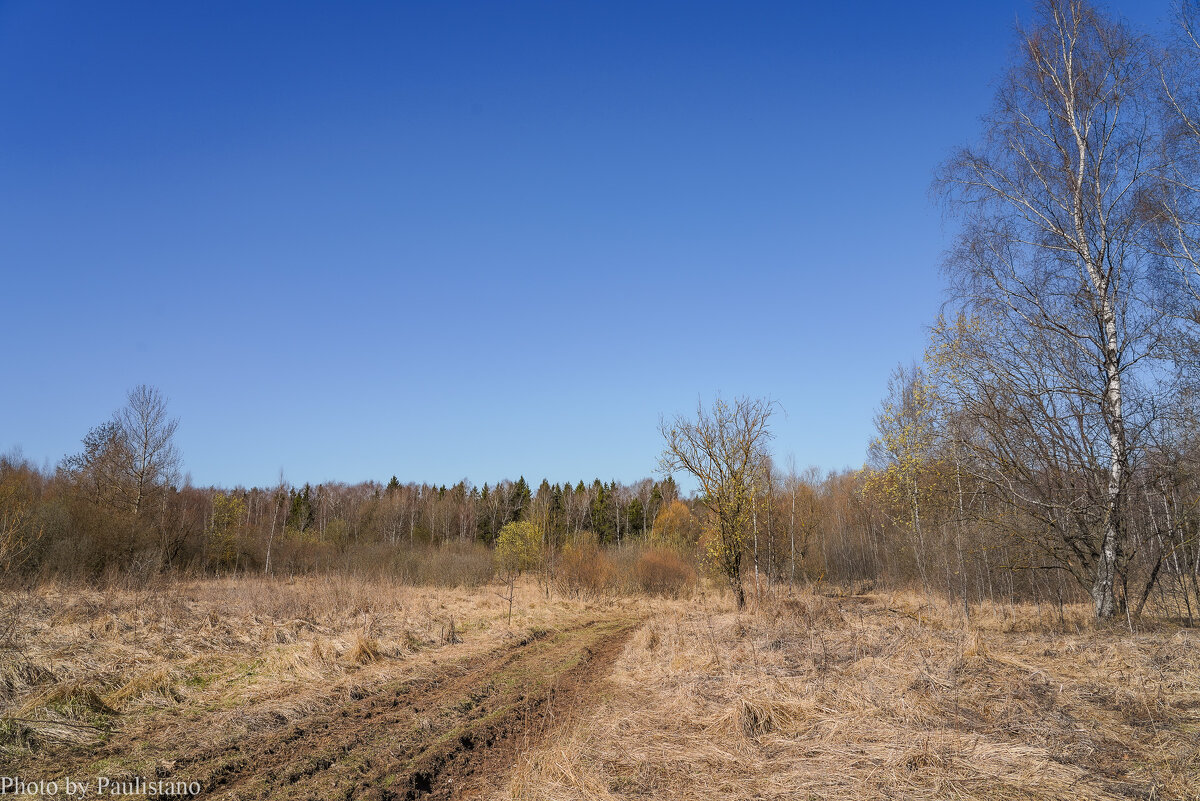 В поле... - Владимир Жданов