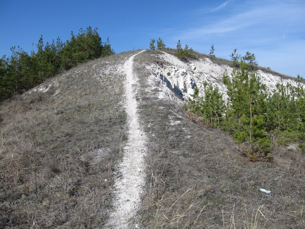 хвалынский национальный парк - Елена Шаламова хвалынский национальный парк - Елена Шаламова