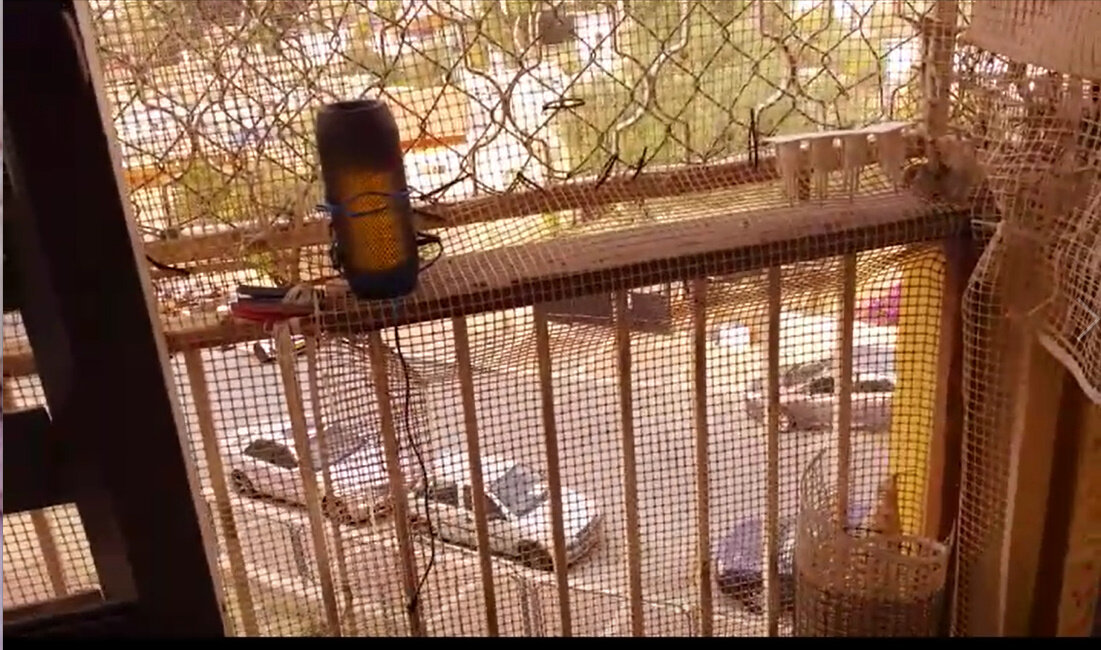 110 (138) - СТРЕН 