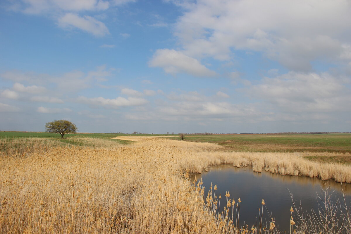 Весна. - Виктор 