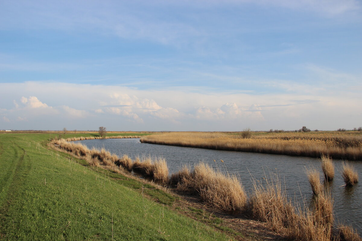Вечер у реки. - Виктор 