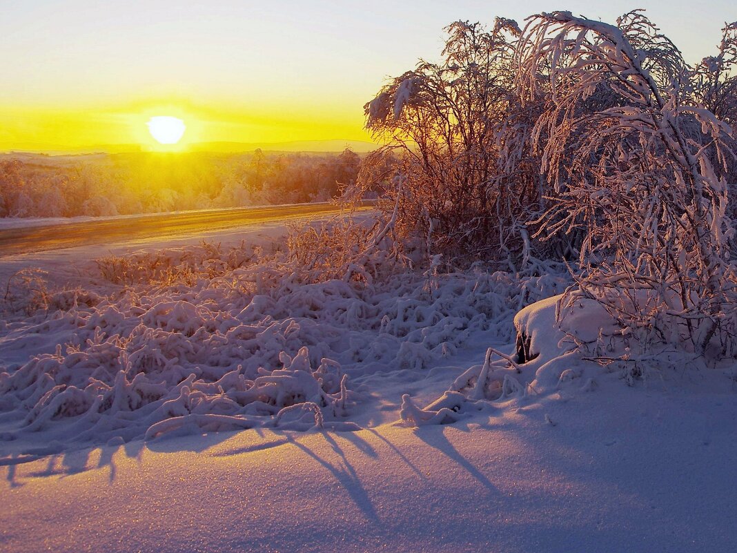 Зимний полдень - Сергей Швечков Зимний полдень - Сергей Швечков