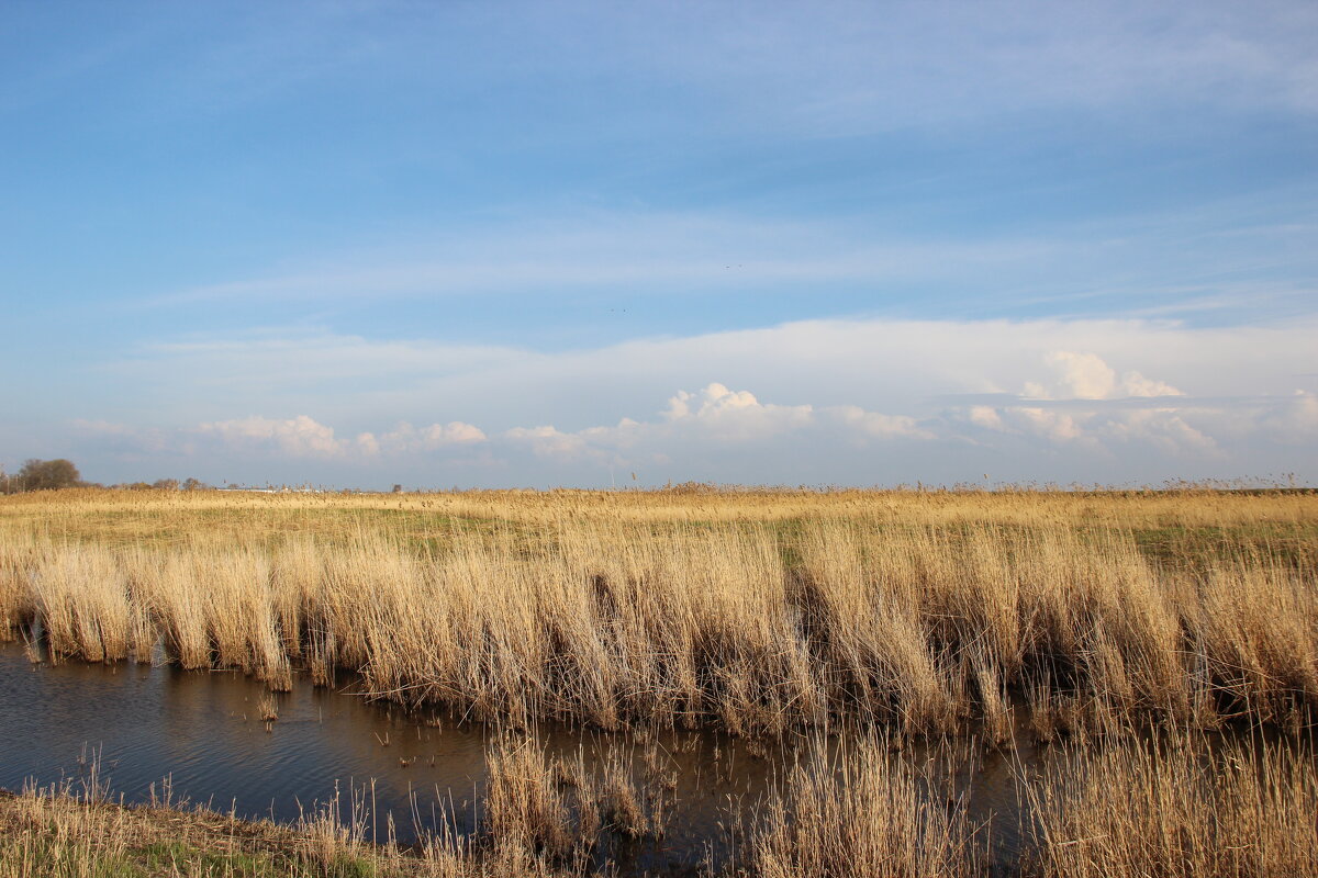 У реки. - Виктор 