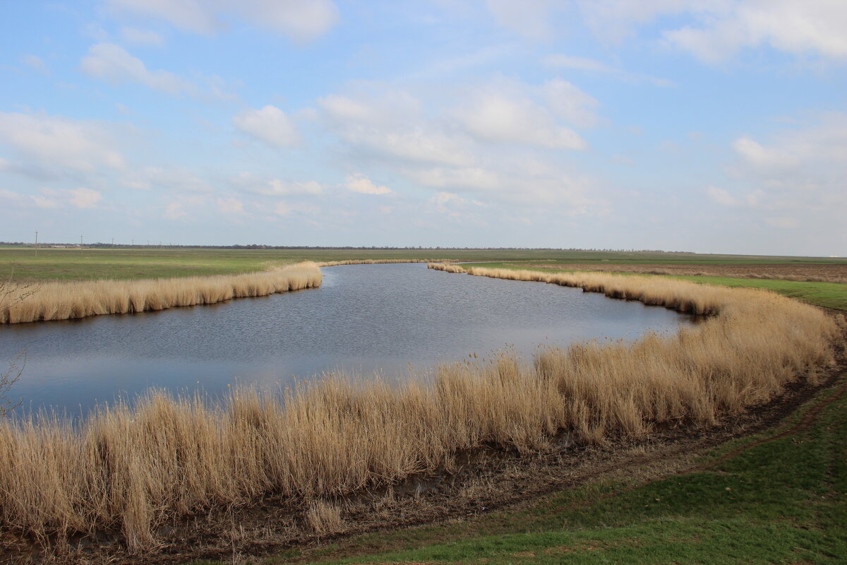 Донские виды. - Виктор 