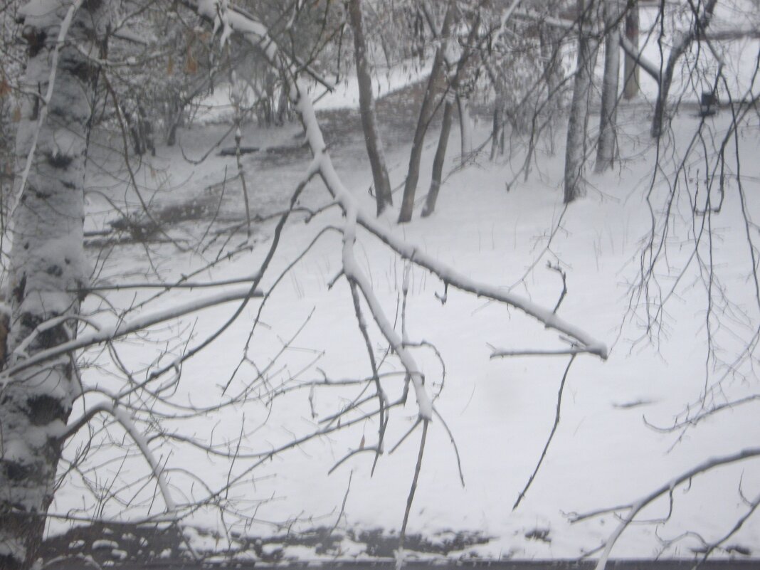 Зима пришла 6 апреля - Елена Семигина