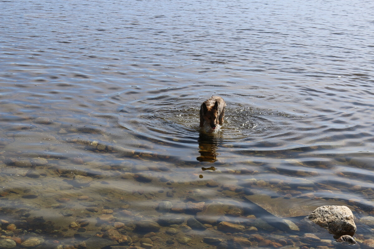 А купаться, пожалуй, рано... - Ольга А купаться, пожалуй, рано... - Ольга