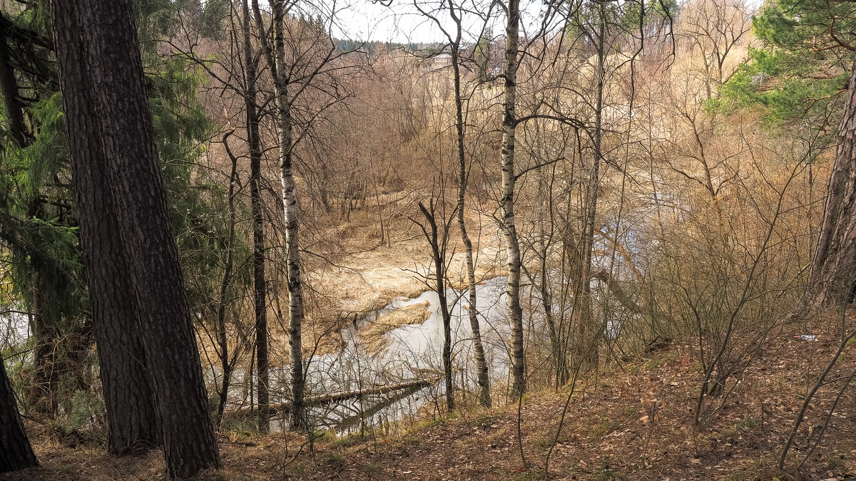 Весенние - юрий поляков