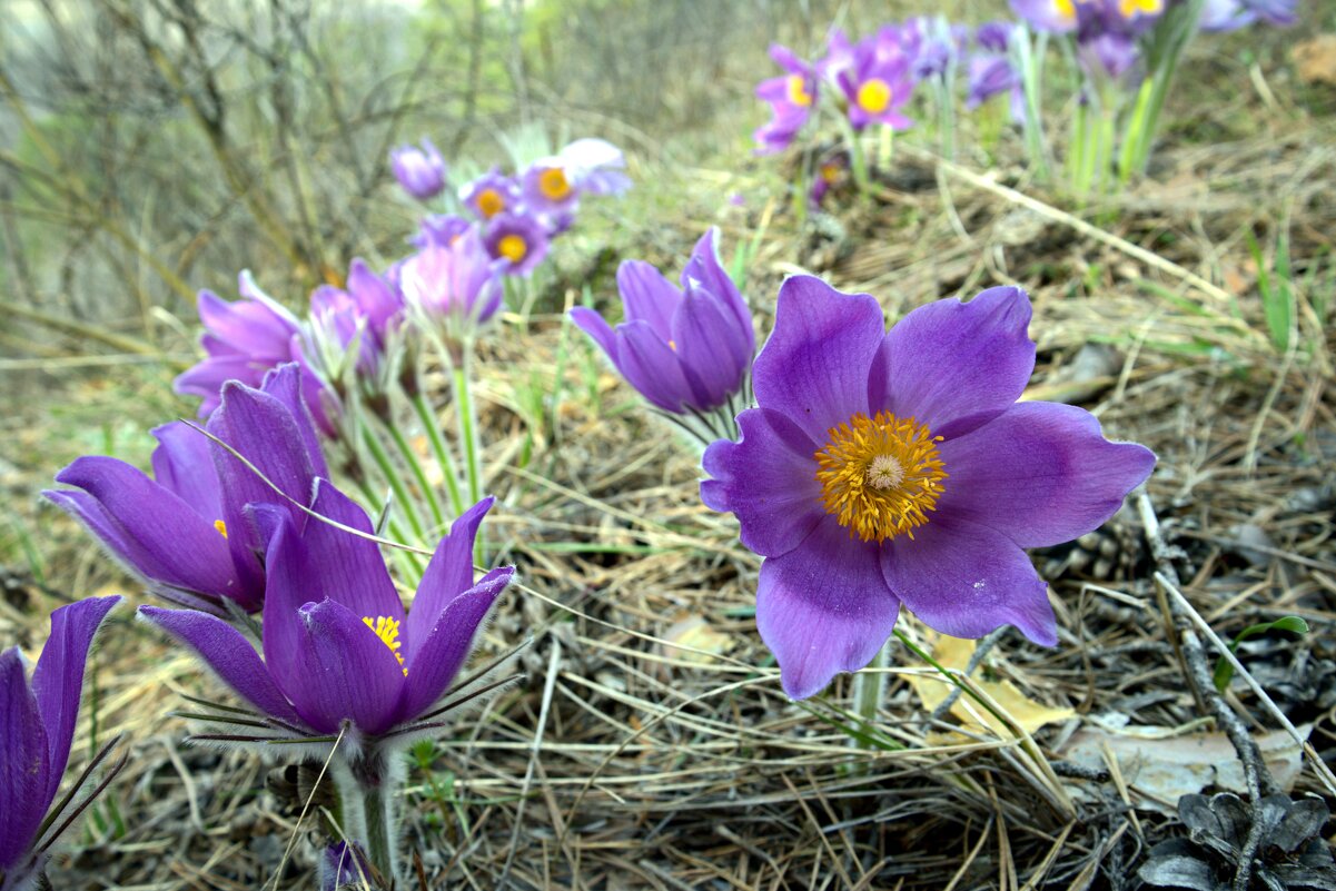 ... - Валерий ... - Валерий
