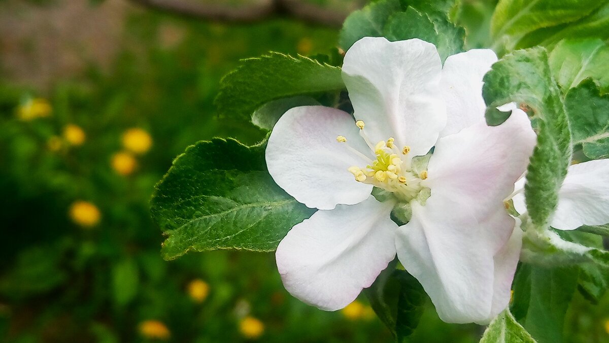 ,,, - Сергей Тимоновский ,,, - Сергей Тимоновский