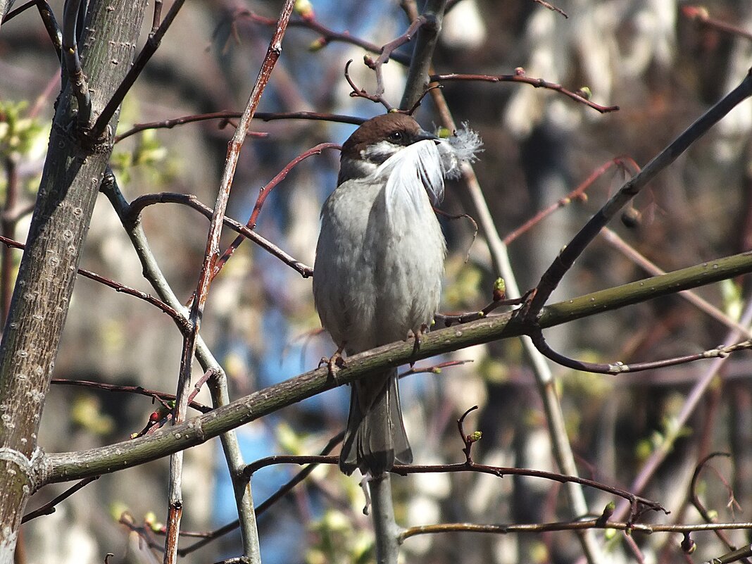 Все в дом - Зоя Мишина Все в дом - Зоя Мишина