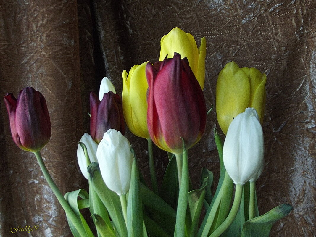 Букет - Freddy 97