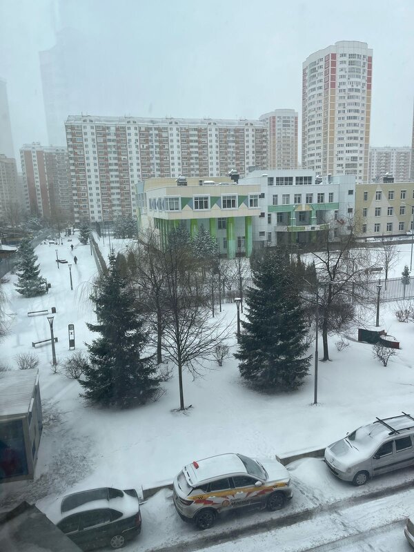 Зима вернулась - Ирэн 