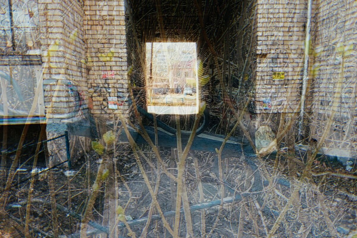 Природа, окружённая человеком. - Игорь Солдаткин