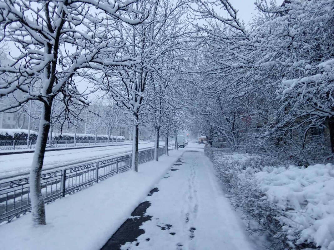 Вдоль по улице - Александр Винников