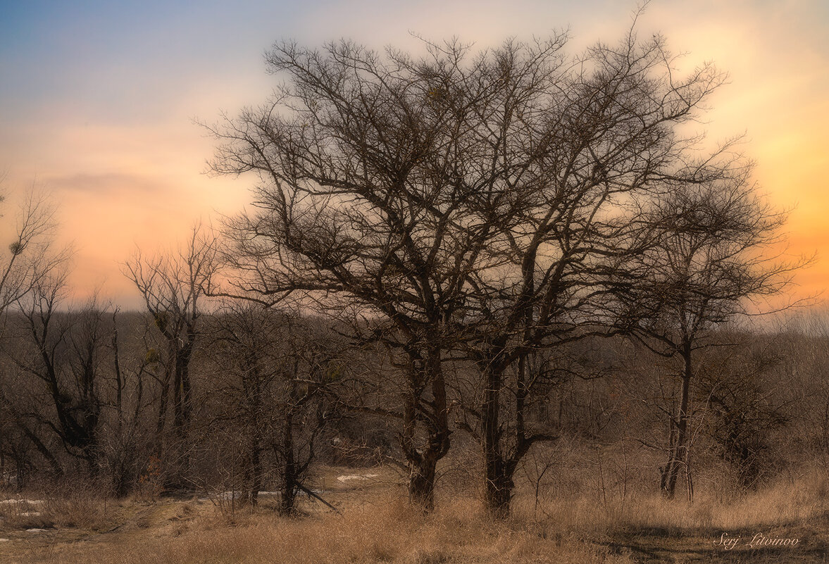 Весенний вечер ... - Сергей Литвинов