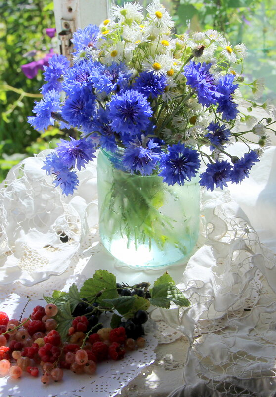 Натюрморт! - жанна нечаева