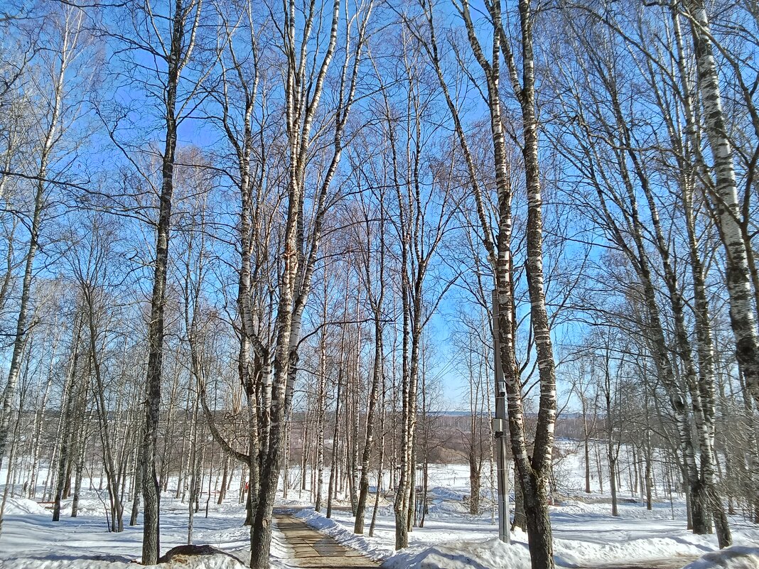 Апрель в парке - Виктор 