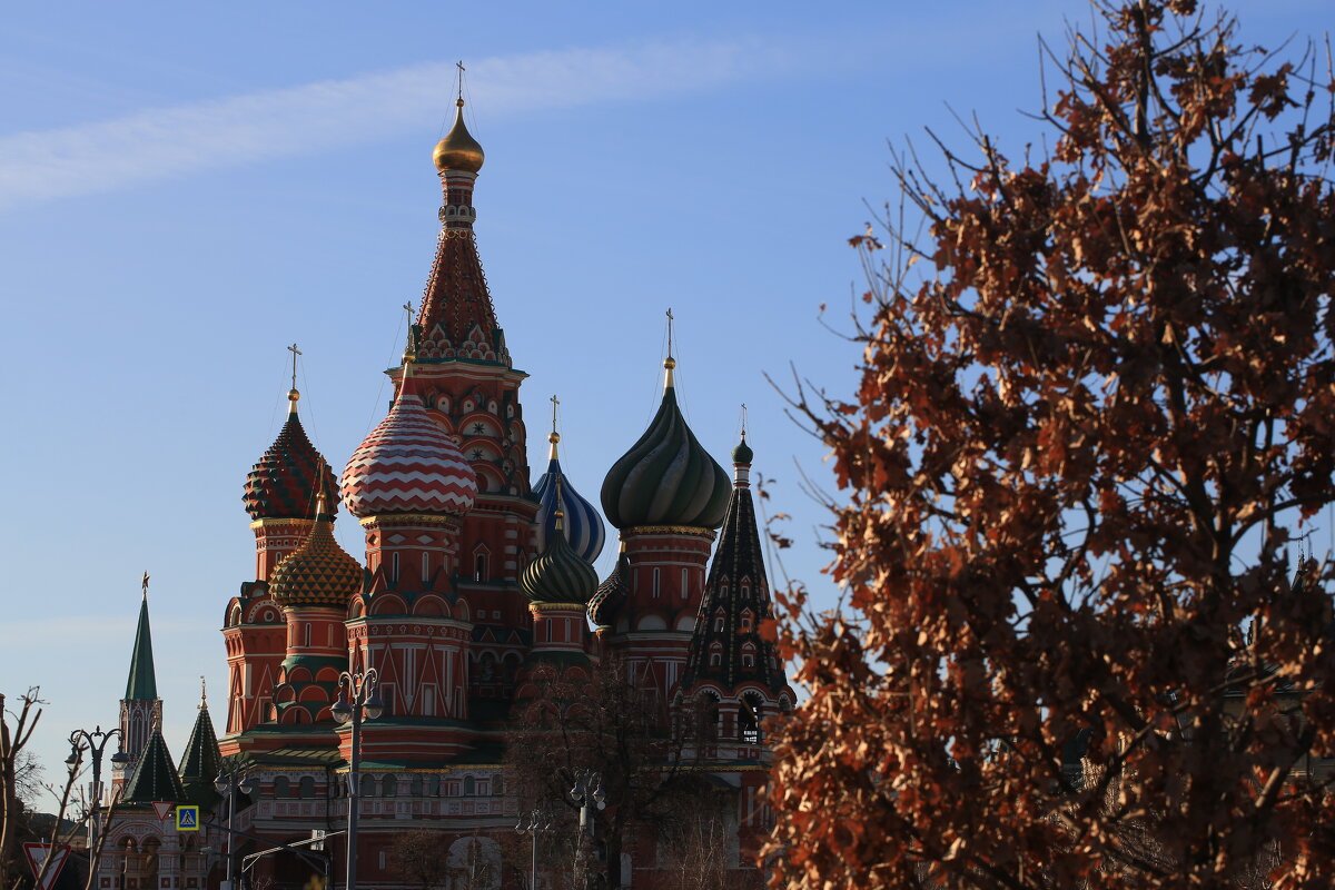 ... - Ninell Nikitina