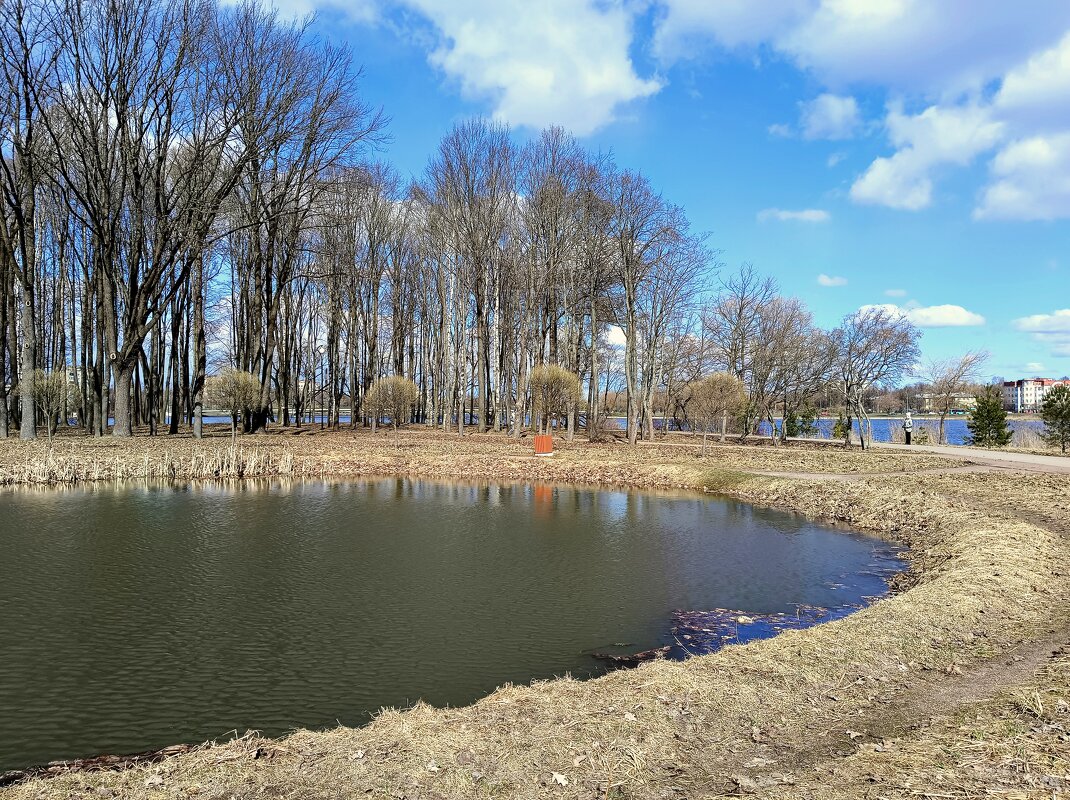 Апрель в парке... - Мария Васильева