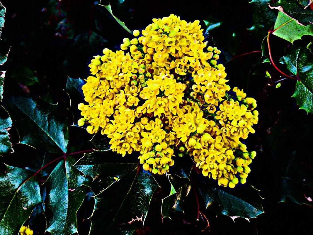 Весенние зарисовки 72 - Алексей Кузнецов