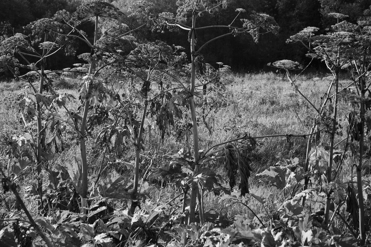 Название отсутствует - Денис Безногов Название отсутствует - Денис Безногов