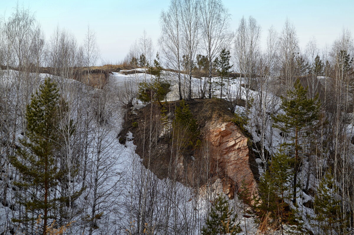 Салаирские земли - Татьяна Лютаева Салаирские земли - Татьяна Лютаева